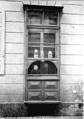 Breitegasse 11, 1905
