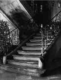 Treppenhaus 1. Stock - Staircase
