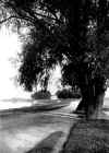 Gerbermuehle03.jpg (76948 bytes)