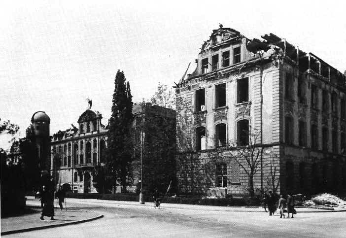 Senckenberg-Museum 1945
