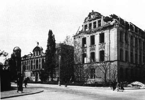 Senckenberg-Museum 1945