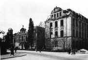 Senckenberg-Museum 1945