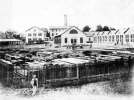Frankfurter Waggonfabrik AG, 1905
