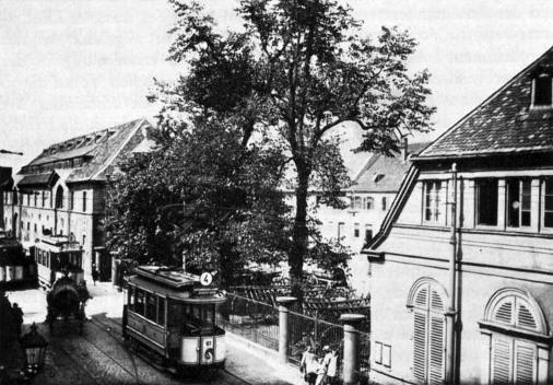 Schnhof