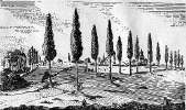 Bornheimer_Heide.jpg (48398 bytes)