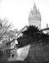An der schlimmen Mauer